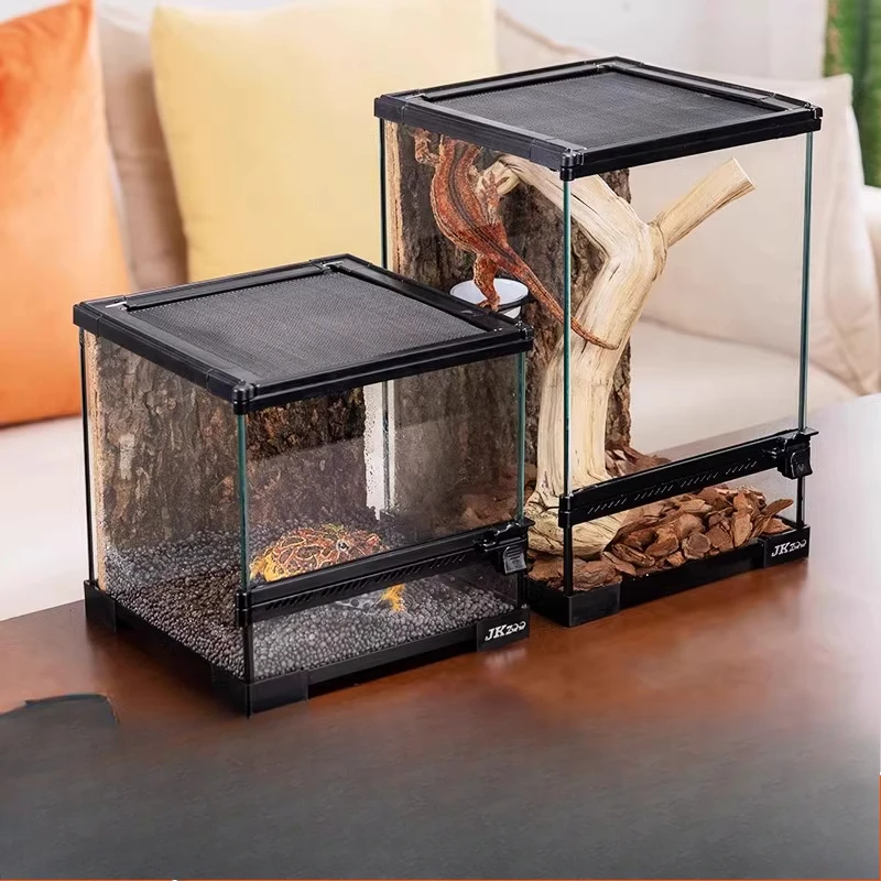 الزواحف البيئية المناظر الطبيعية خزان التغذية سحلية قصر حراسة القرون الضفدع مجموعة عالمية #2