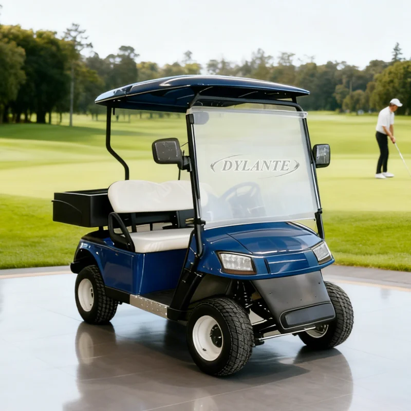 

Лучшие уличные легальные высокоскоростные тележки для гольфа, 2-местная электрическая тележка для гольфа с литиевой батареей и задним грузовым ящиком