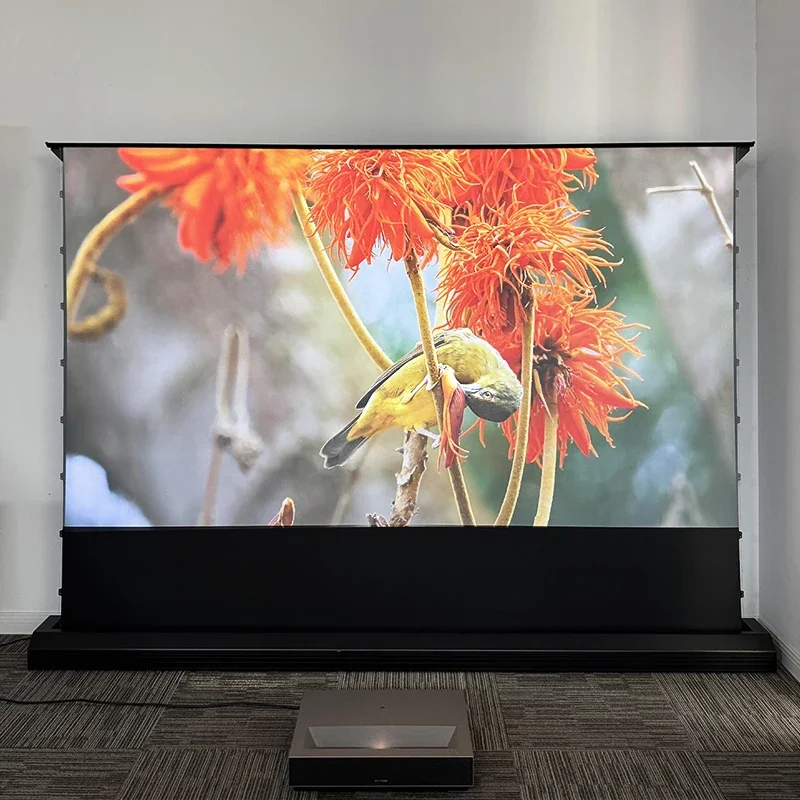 100 بوصة التوتر الكهربائي الطابق ارتفاع ALR/CLR شاشة عرض بمحركات الضوء المحيط رفض لأجهزة العرض UST ثلاثية الأبعاد 4K 8K #3