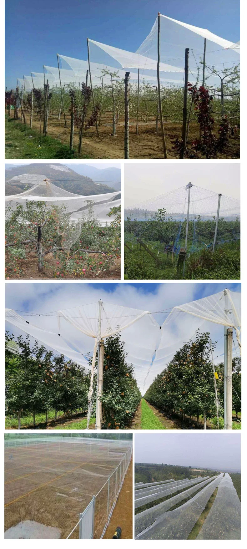 Thumbnail 3 - #3 Compare Cat Safety Window Nets Before You Buy