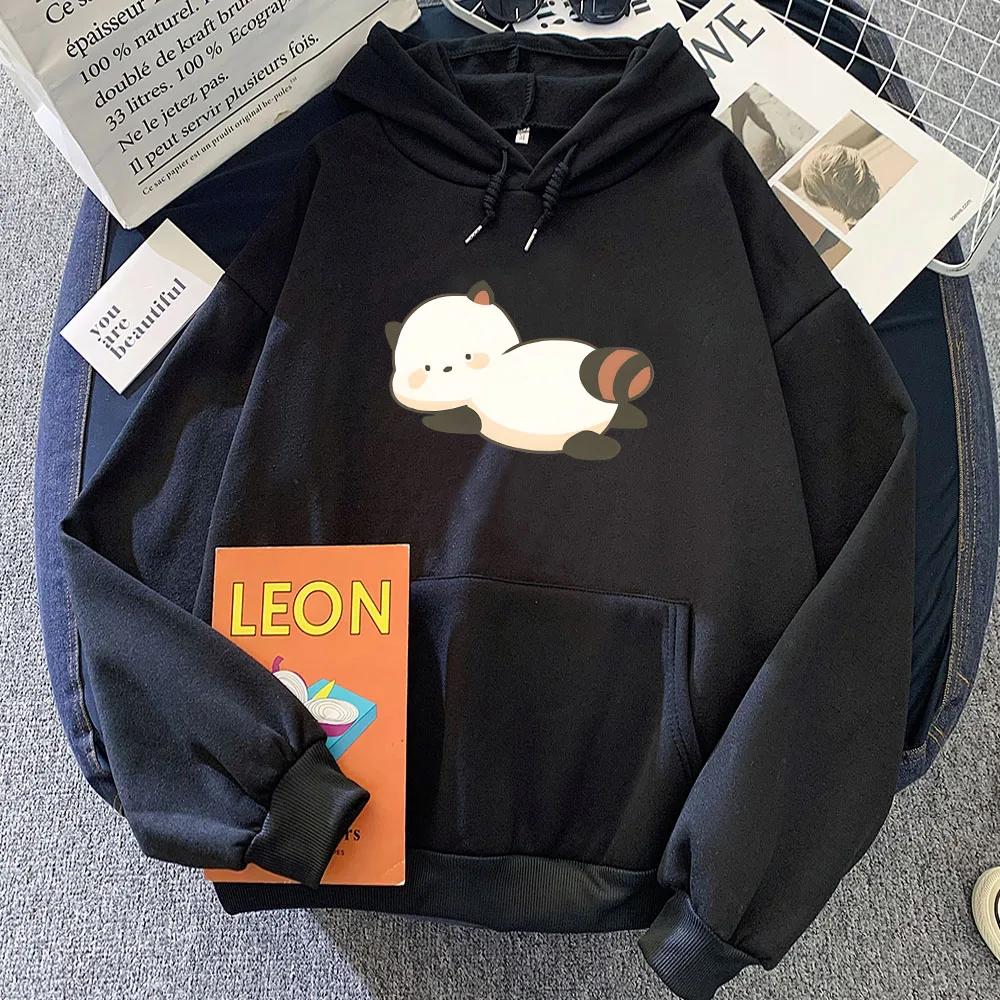 Sweat à Capuche avec Impression Graphique de Raton Laveur pour Homme et Femme, Vêtement Décontracté à Manches sulf, Kawaii