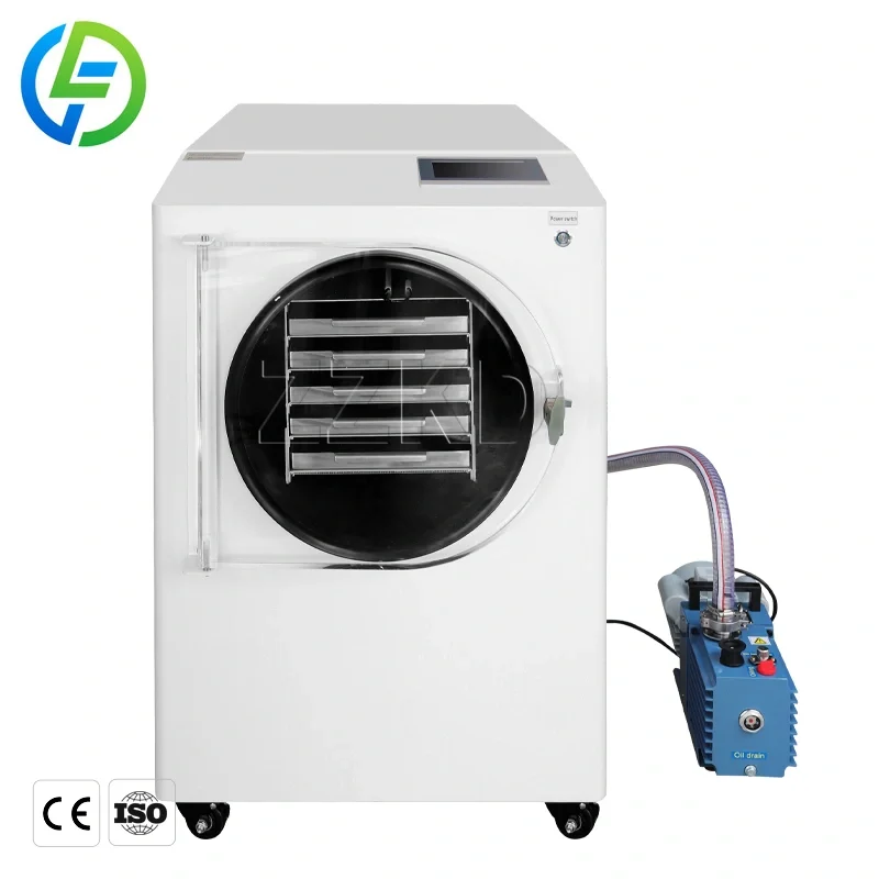 Commercial 6kg 8kg 10kg Home Mini Freeze Dryer Oil Pump Drying Machine Lyophilizer Price for Candy Food Fruit Vegetable