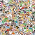 100 pezzi