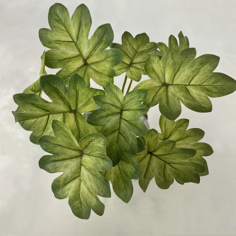 Artificial Green Plants Plastic Begonia Turtle Back Bamboo Apple Leaves Home Living Room Decoration 3D Printing Simulation Plant