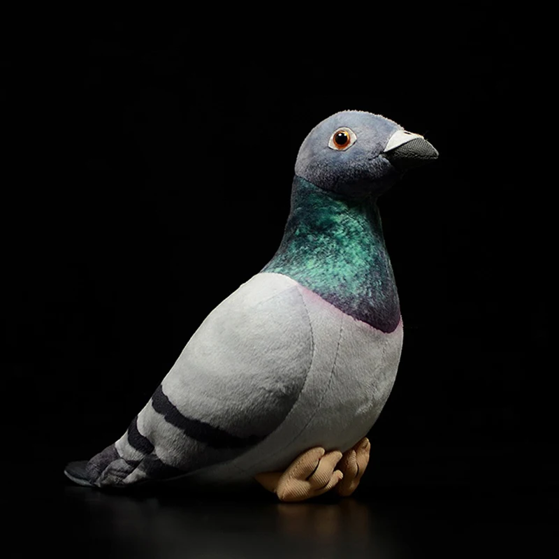 Peluche pigeons gris, blanc, rock, colombes de la paix, petite lettre, modèle oiseau, cadeau pour enfants