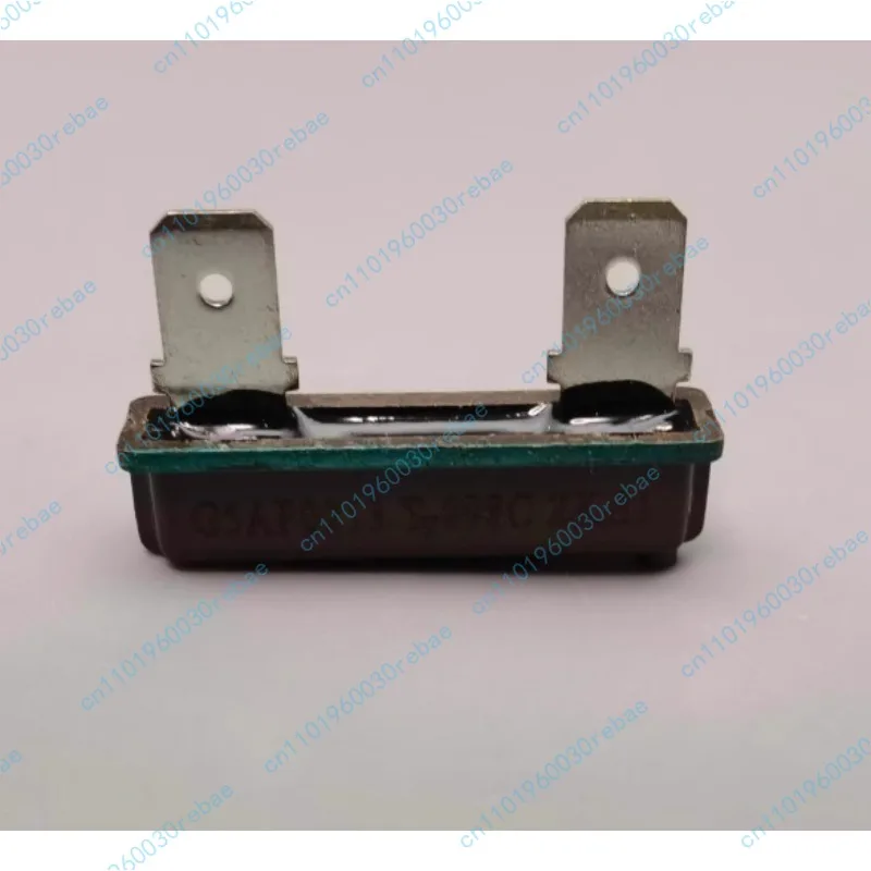 Encapsulated Fuse G5AP0213 TF098C Thermal Fuse
