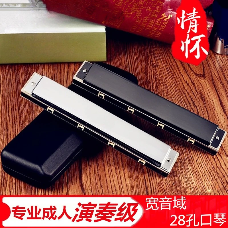 24 holes 28 holes polyphonic C - Harmonica 10 Hole ulasan dan harga