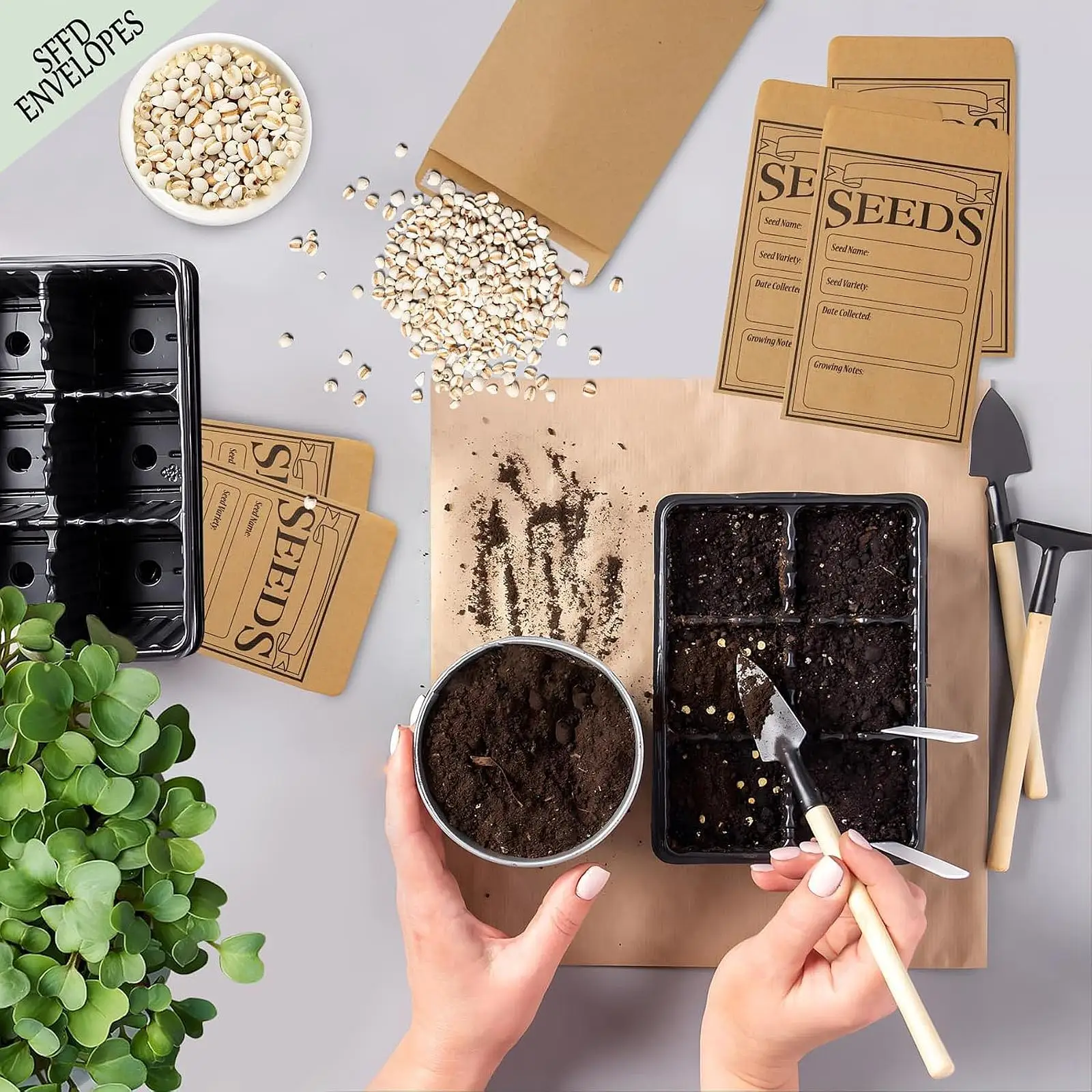 Pack of 50 Mini Self- Envelopes for Storing And Collecting Seeds Pack of 50 Mini Self- Envelopes for Storing And Collecting Seeds