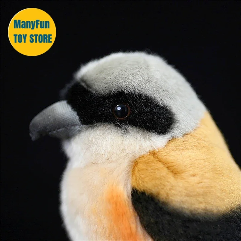 Shrike ألعاب من نسيج مخملي جزار الطيور بلوشي لانيوس شاتش Peluche موزو نابض بالحياة الطيور الحيوانات المحشوة محاكاة دمية لعبة أطفال