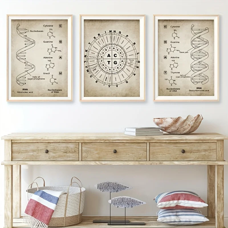 (NoFrame 3PCS)-2D Flat, 2D Flat, Set of 3 DNA And RNA Genetic Code Canvas Wall Art, Vintage Science Posters, Office And Home