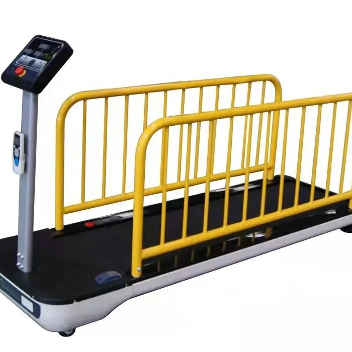 Dog Treadmill  Pet Dog Fitness Treadmill for Indoor Exercise with Remote Control Display Screen