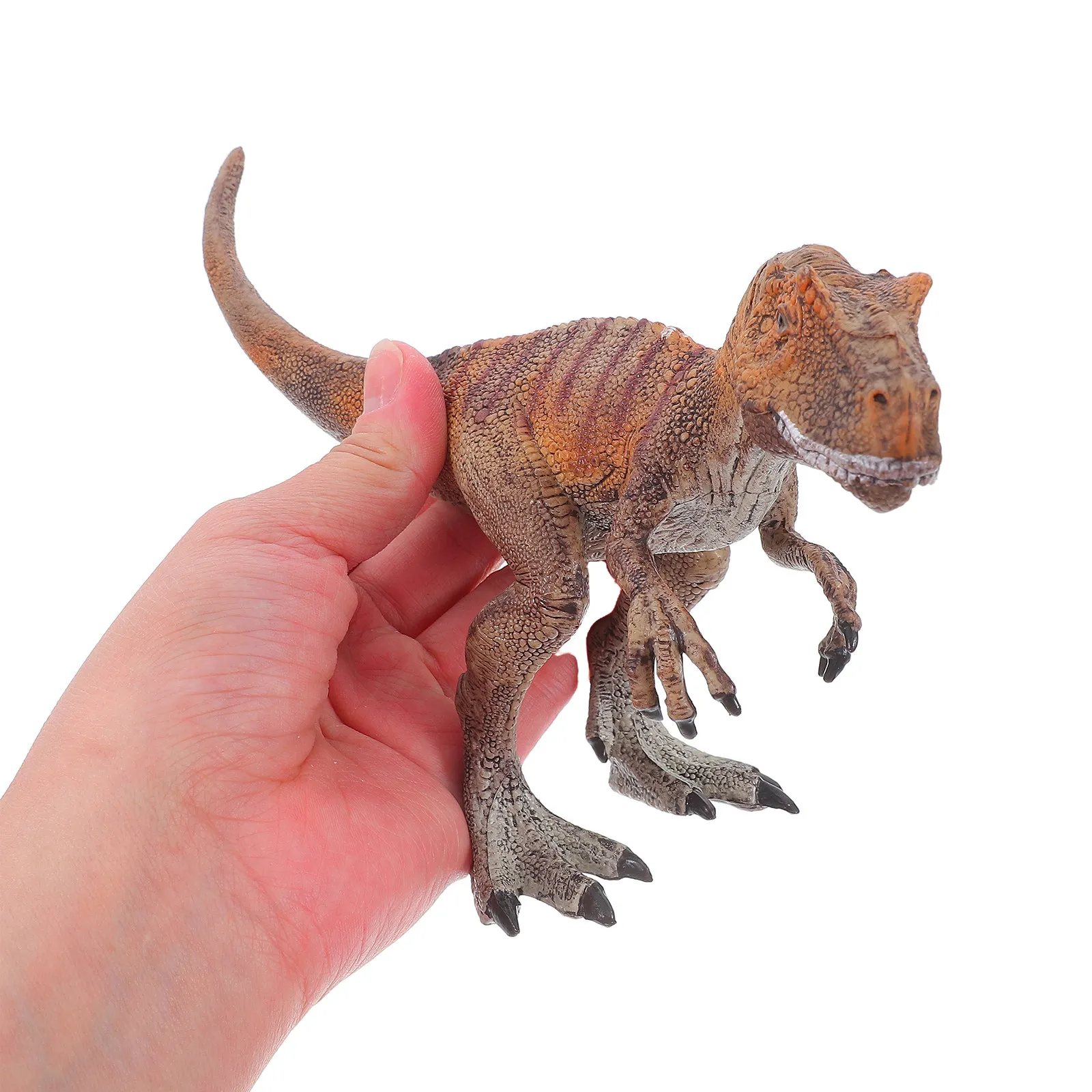 

1Pcs High Quality Fashionable Allosaurus Dinosaur Ornament for Kids Teachers Collectors Realistic Room Office Decor Dinosaur