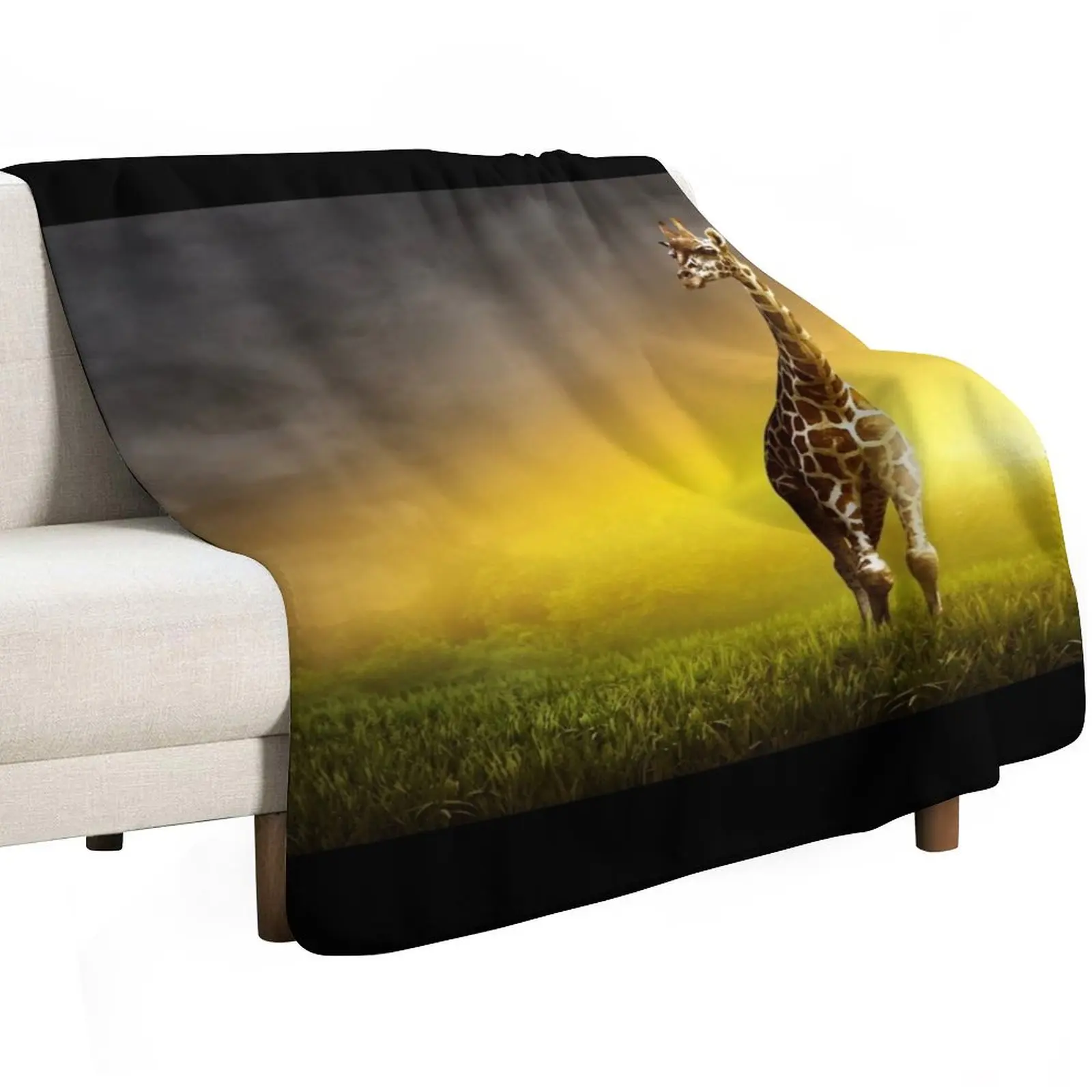 

Sunset Stroll Throw Blanket Sofa Throw Fashion Sofas Sofa Quilt Blankets