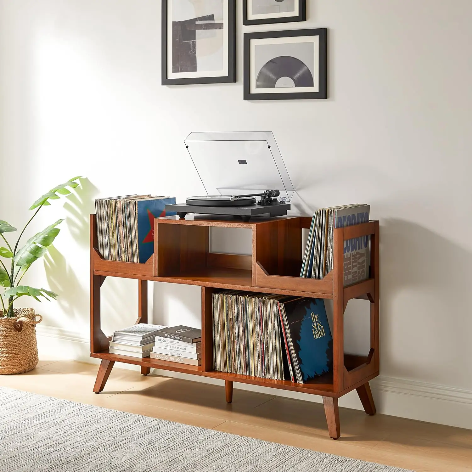 Asheville Large Record Storage Console, Walnut