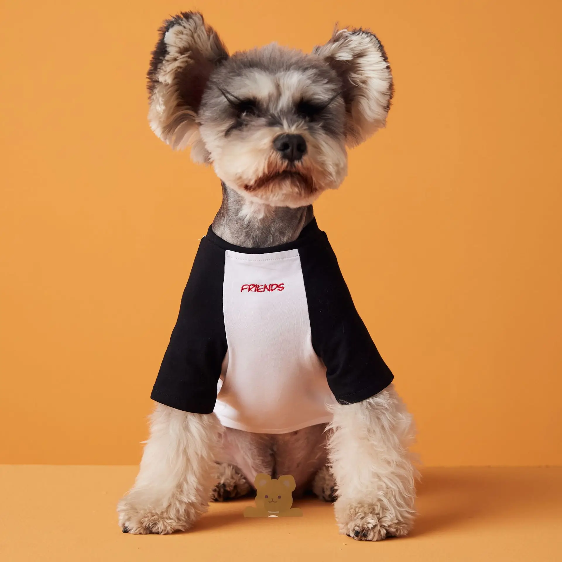 Ropa para perros Camiseta bordada Chihuahua Bichon Schnauzer