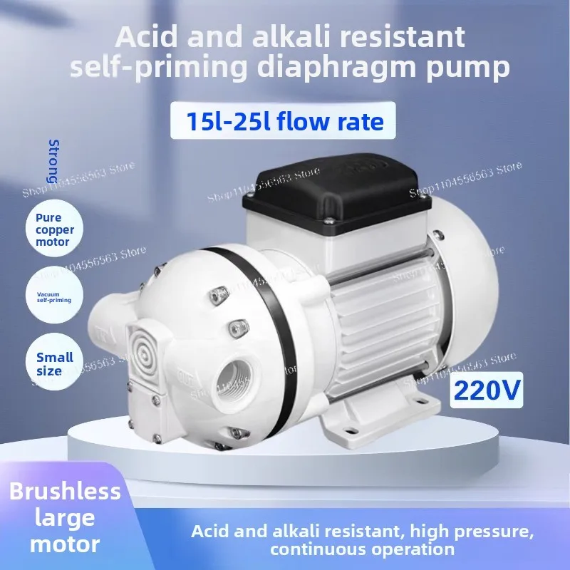220V Acid & Alkali Resistant Self-priming Diaphragm Pump, Corrosion-proof Plastic Pump, for Hypochlorite Dosing