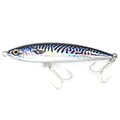 blue mackerel
