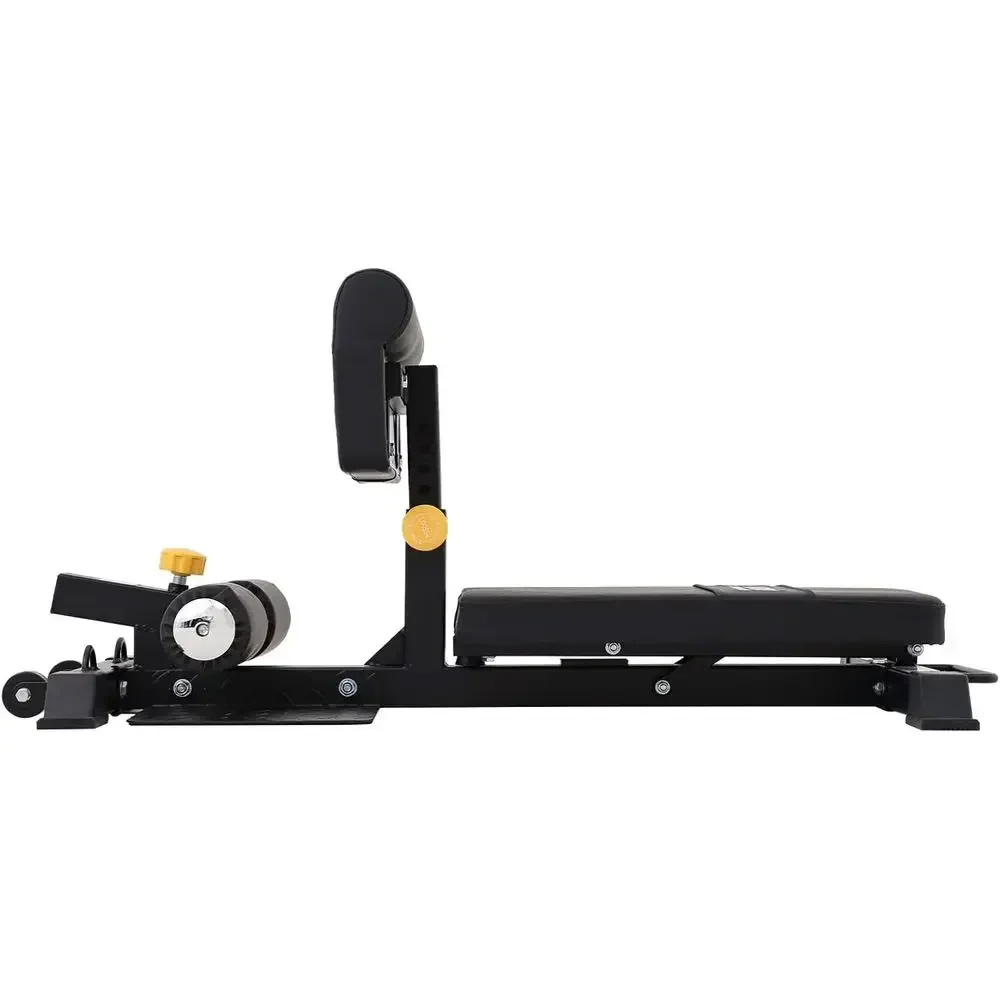 Adjustable Sissy Squat Station for Leg and Core Workouts at Home Gym