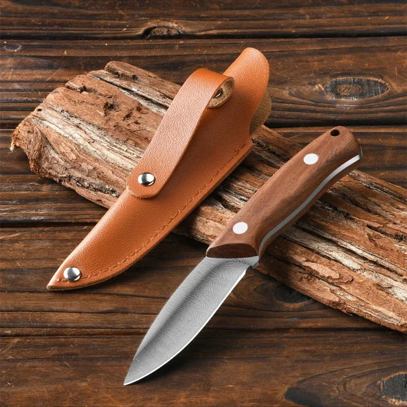 Outdoor fruit knife with holster knife, portable stainless steel knife, home kitchen fruits and vegetables, cutting knife