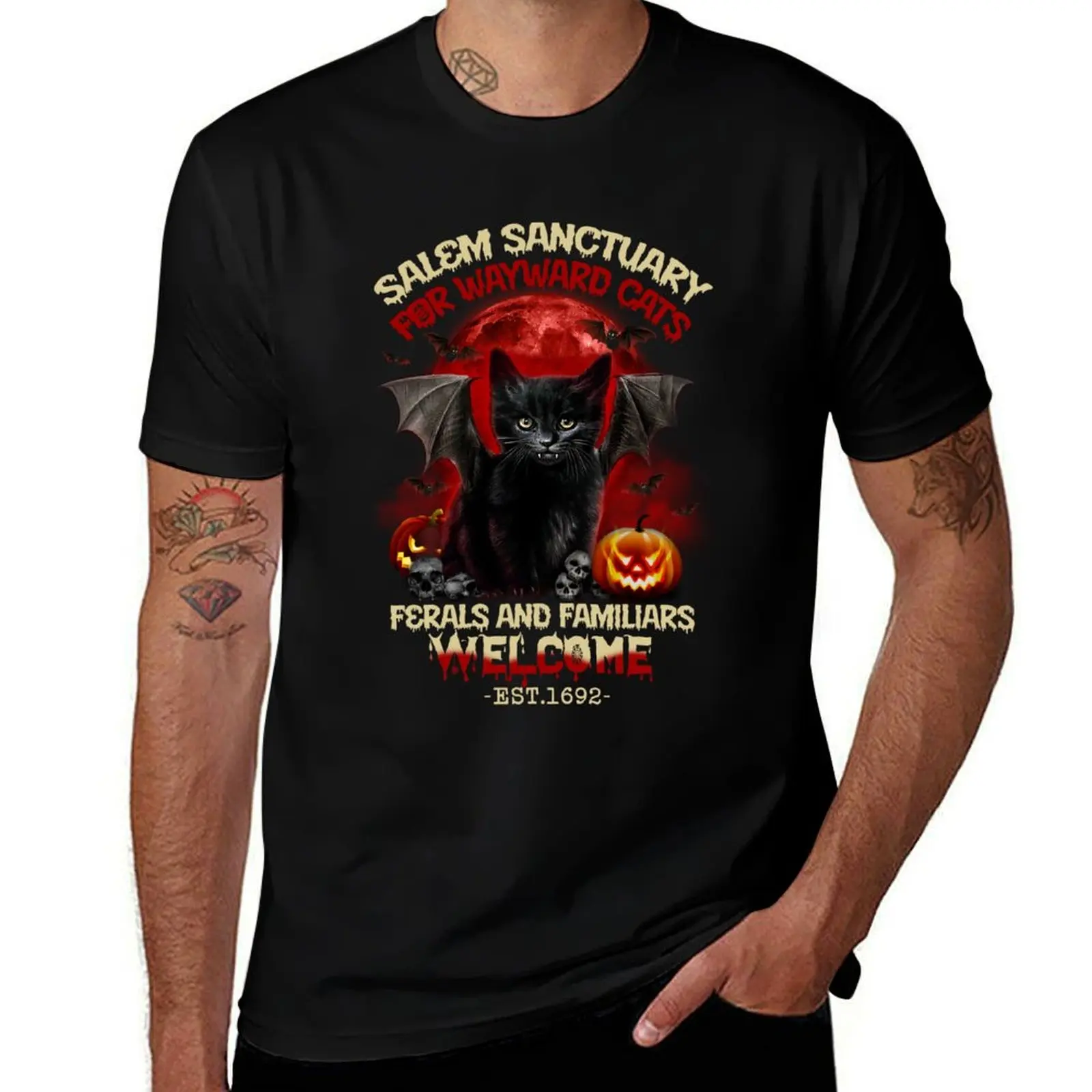 Salem Sanctuary For Wayward Cat's Ferals And Familiars Welcome Black Cat Halloween T-Shirt Basic Breathable Solid Color T-Shirt