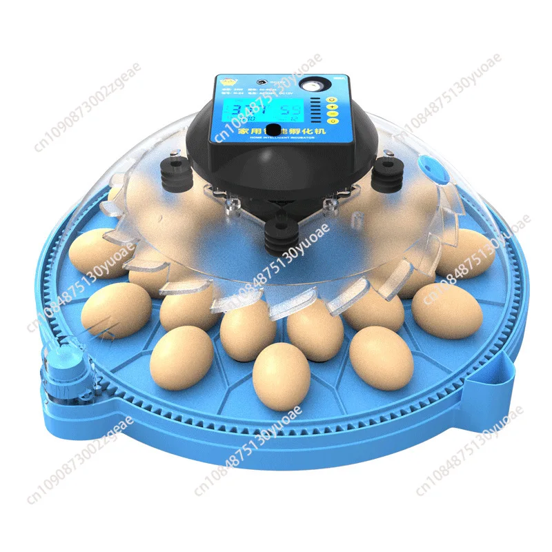 

Household Chicken Incubator Mini Xuanfeng Parrot Ruding Chicken Incubator A8 Small Flying Saucer