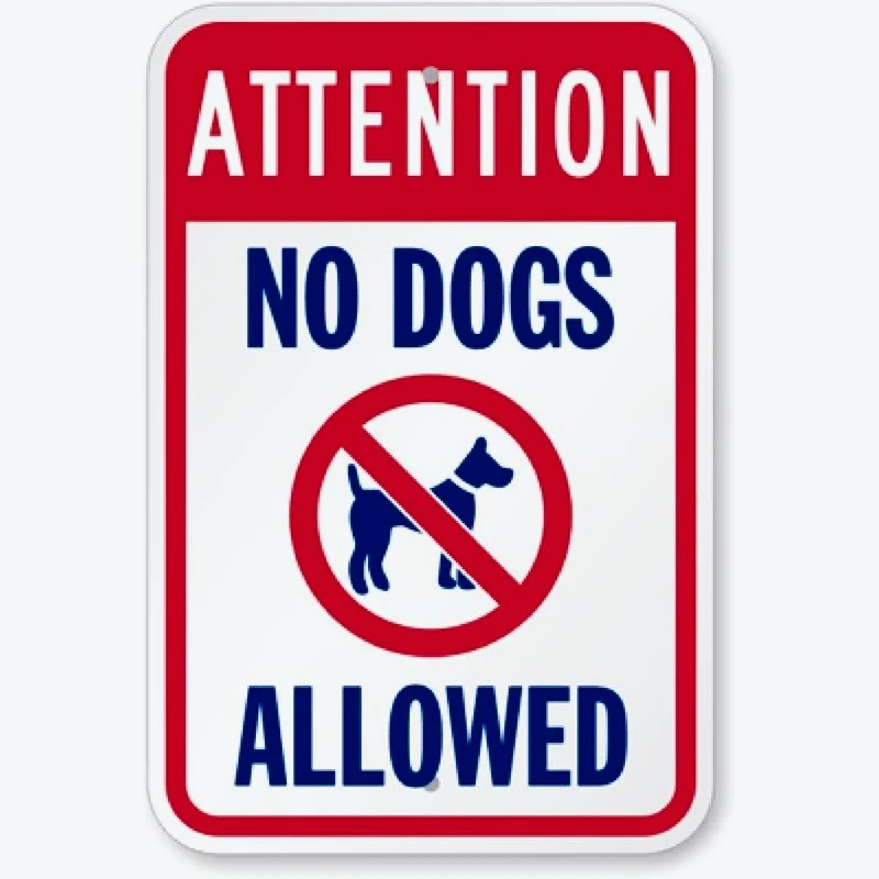 Autocollant de voiture attention pas de chiens permettent de décalcomanies en vinyle amusantes, fenêtres de voiture, portes 15 cm PVC KK