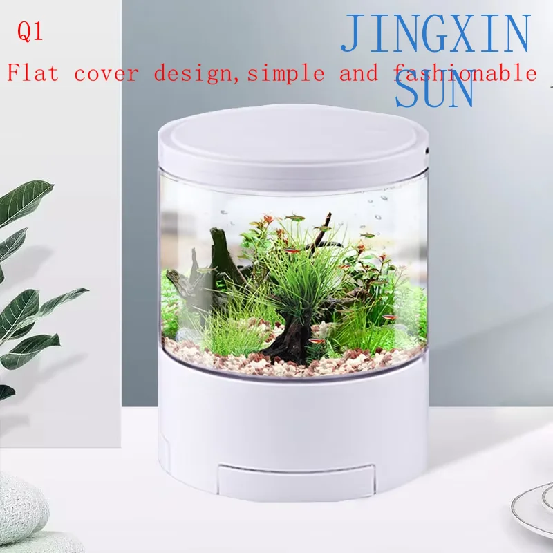 Mini ecological fish tank