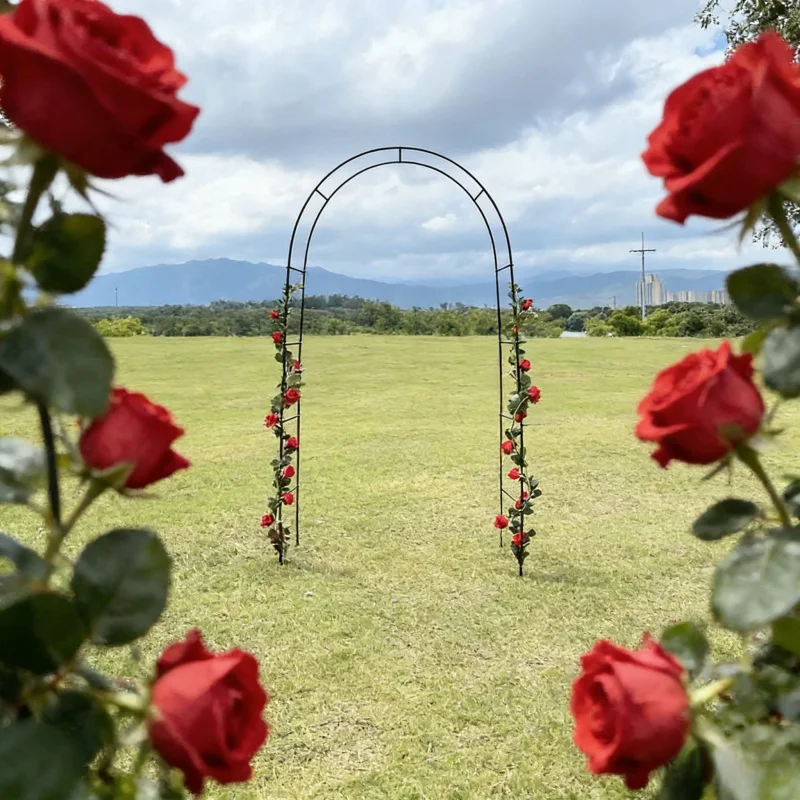 1-2Garden Outdoor Metal Arch Climbing Frame Wedding Celebration Decorative Flower Stand Courtyard Grape Vine Plant Climbing Supp