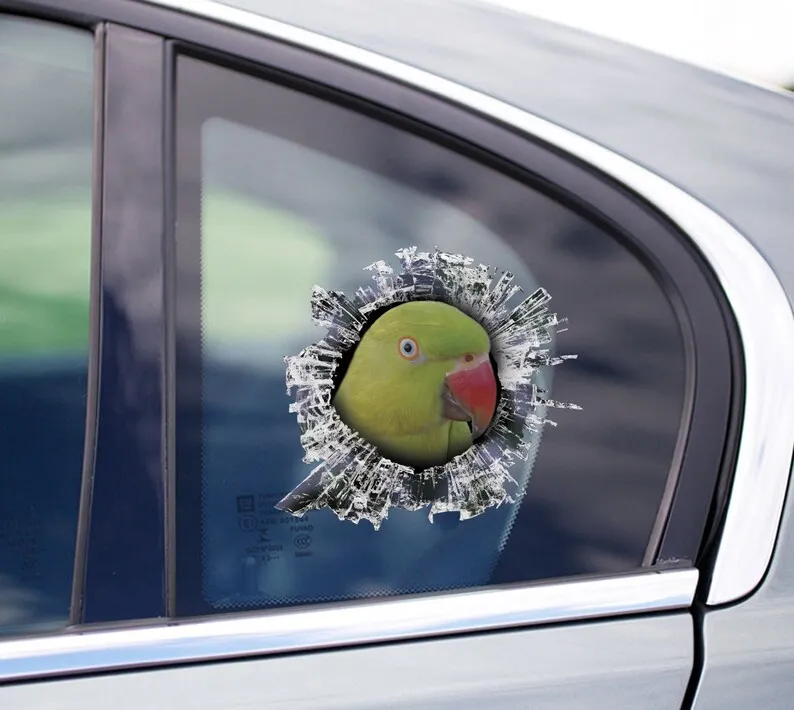 Green female Indian Ringneck window decal, Indian Ringneck sticker, Indian Ringneck car decal