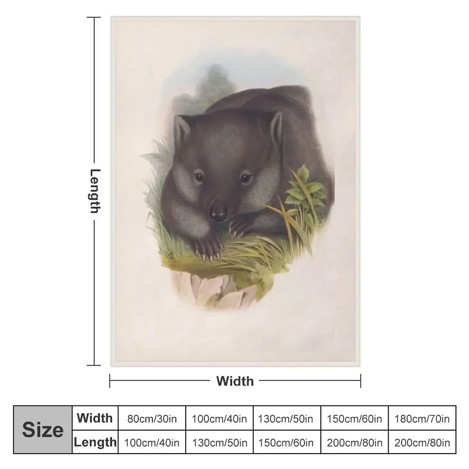 Phascolomy's Wombat (Common Wombat) by Henry Richter Throw Blanket Blankets For Sofas Thermals For Travel Blankets