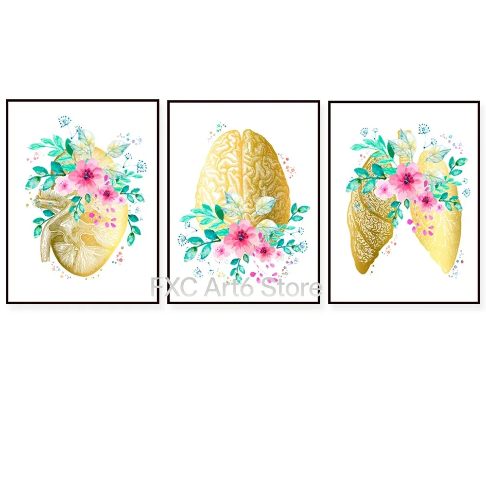 3pcs frameless -Golden anatomy poster golden heart anatomy brain flower kidney lung and flower printing medicine art doctor gi
