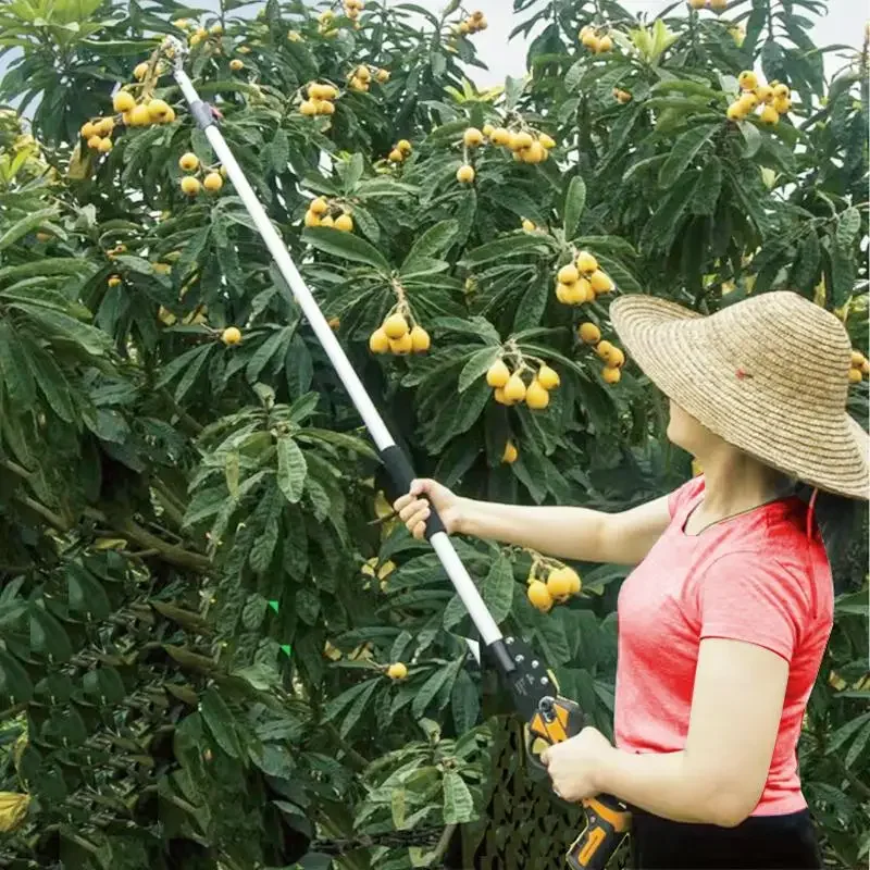 Lithium battery fruit picking artifact, high branch shears, pruning shears, telescopic fruit picking shears, longan persimmons