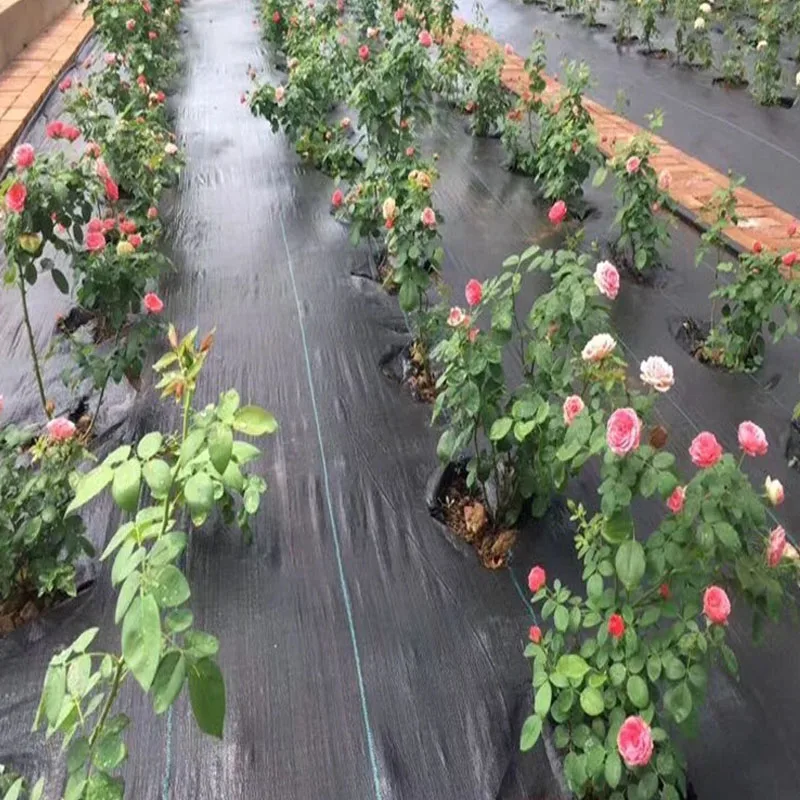 0.6m Width Anti Grass Mulch Cloth Pitaya Weed Barrier Mat  Orchard Humitifing Warm Breathable Garden Flowers Potting Plant Cover