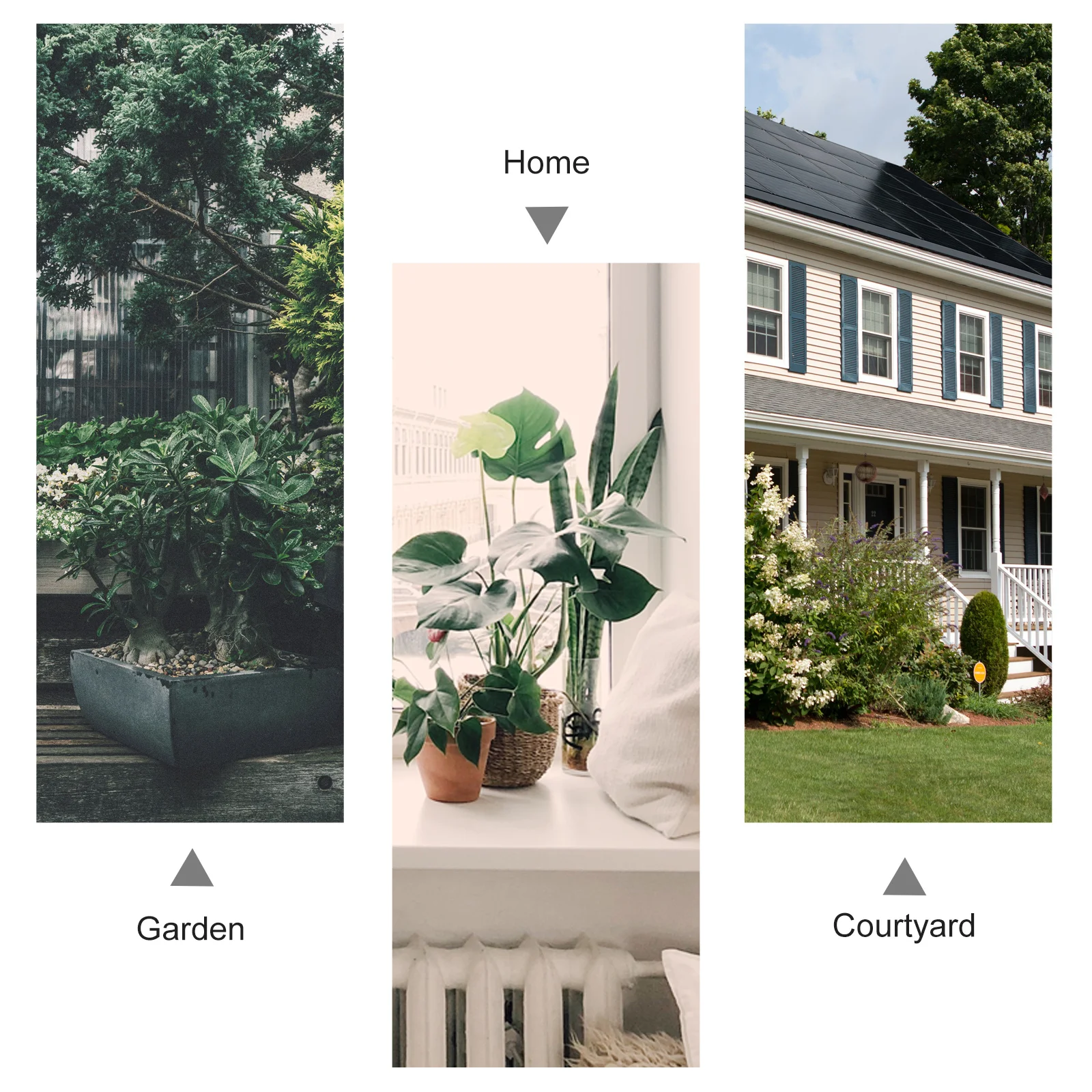 

1Pcs Practical Spray Bottle Large Capacity Garden Watering Durable Material Home Cleaning Tool Spray Bottle Refillable Bottles