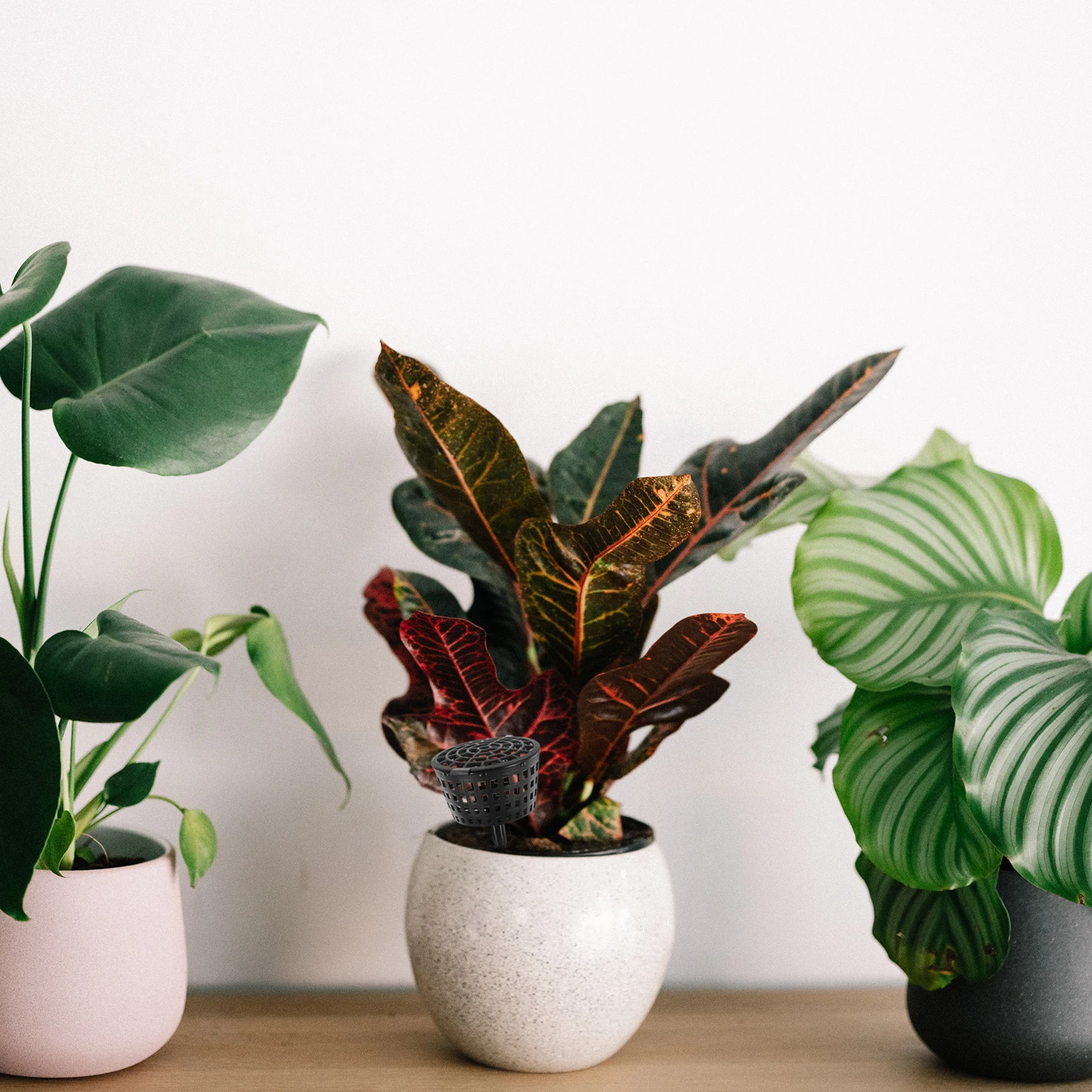 10 قطعة سلة الأسمدة البستنة حاوية بلاستيكية للنباتات الأوركيد بونساي سهلة إدراج استخدام التربة