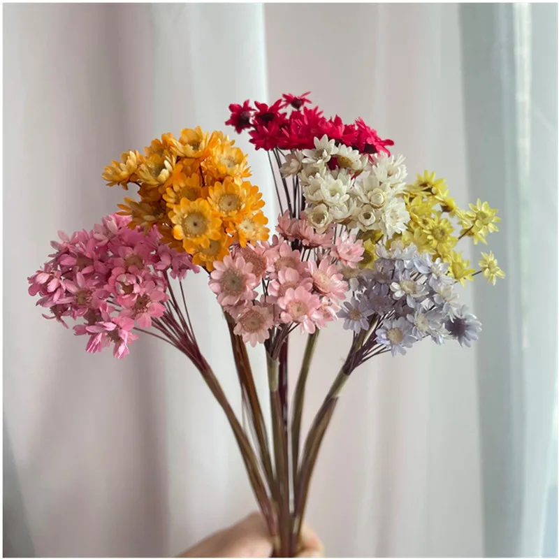 

25Pcs/Lot Pink Brazilian Starlets Bouquet For Home, Living Room, Wedding,Dining Table Decoration Natural Real Flower Ornament