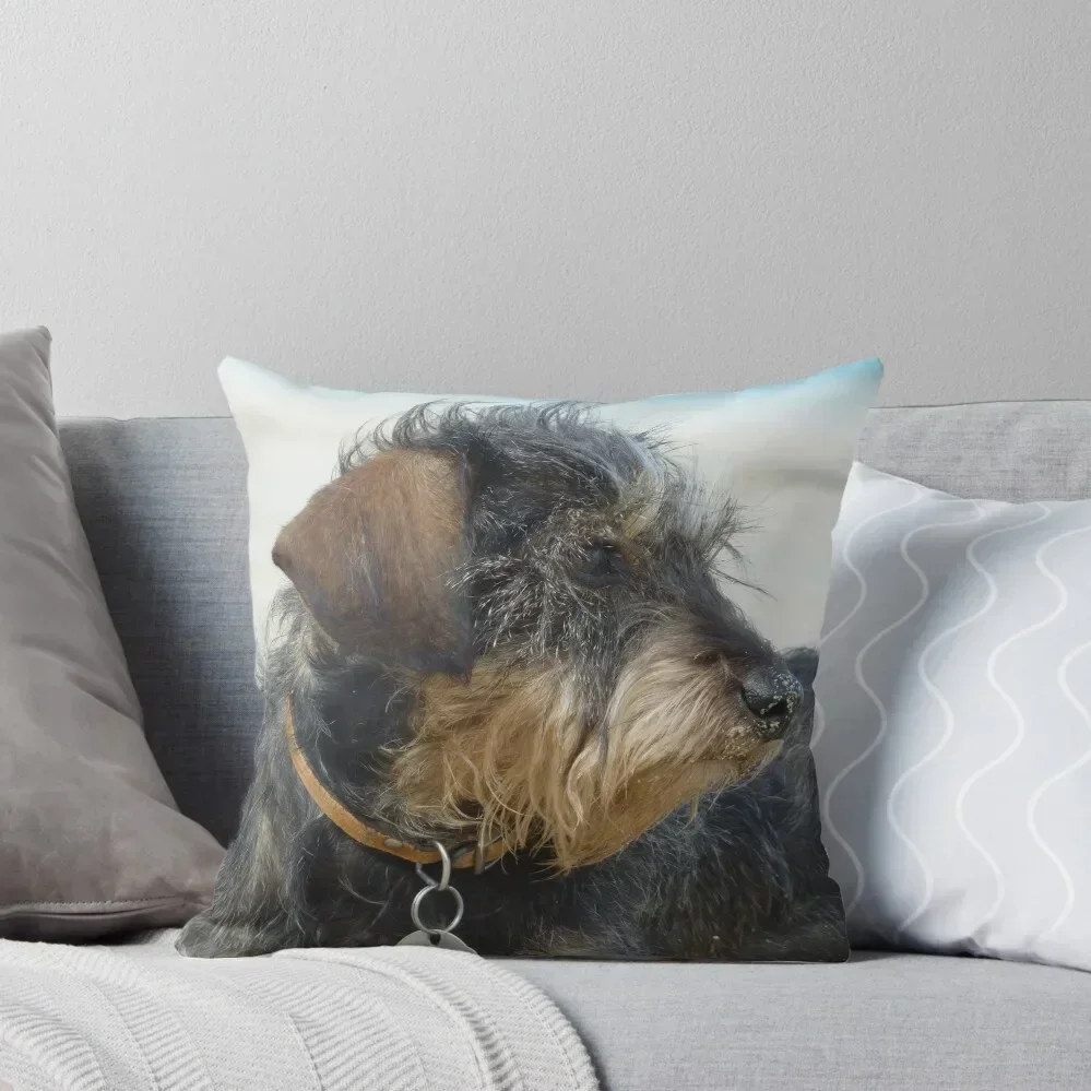 

Daisy the Dachshund on a Cornish Beach Throw Pillow Luxury Cushion Cover Christmas Covers Pillow Cases Decorative pillow