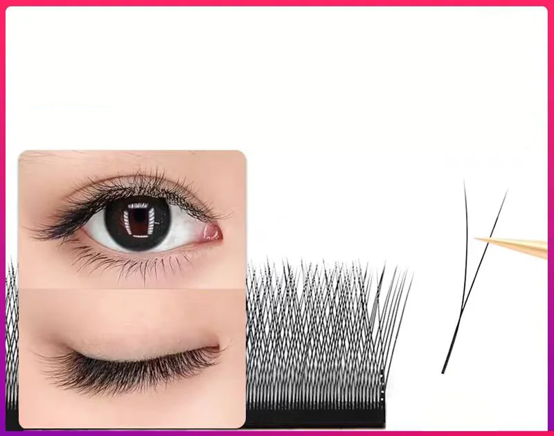 MARIA 2D Y-Form Wimpern, Premium 2D-Wimpern, Weiche, Leichte, Natürliche Wimpernverlängerungen, Make-up-Zubehör, Netz-Wimpern – Detail 3
