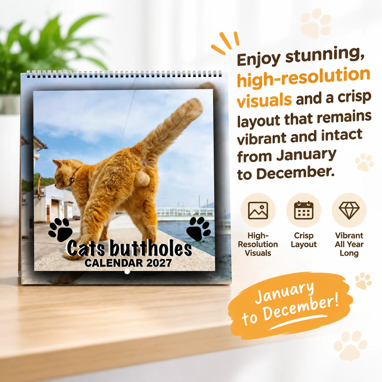 Funny 2027 Cats Buttholes Calendar Unique Cat Calendar with Humorous Designs Ideal for Gifting and Home Decor Jan 2027-Dec 2027