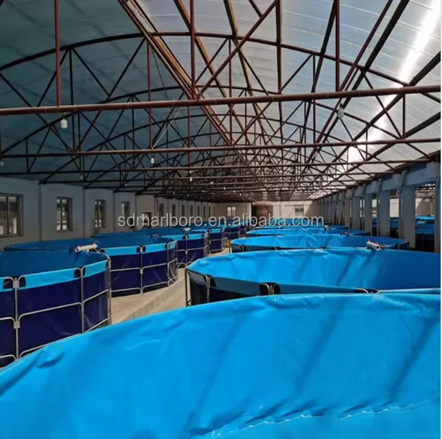 AIROW Recirculating Aquaculture System Outdoor 1000L~1000,000L Tilapia Fish Farming tank