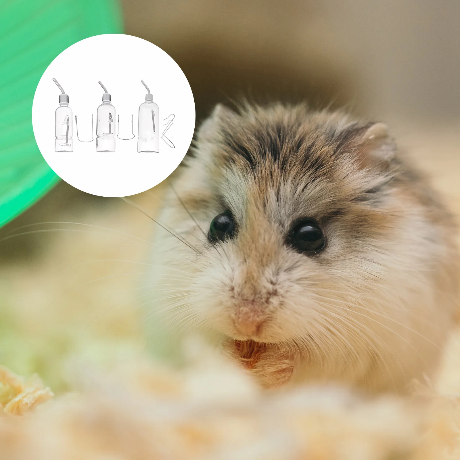 

3Pcs Durable Transparent Pet Water Bottle Stainless Steel Automatic Water Feeder Cage Accessory for Small Animals