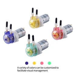 Kamoer KFS Peristaltic Pump 12V DC Motor Gear Pump High Precision Swimming Pool Micro Peristaltic Pump with One/Two Slowgear