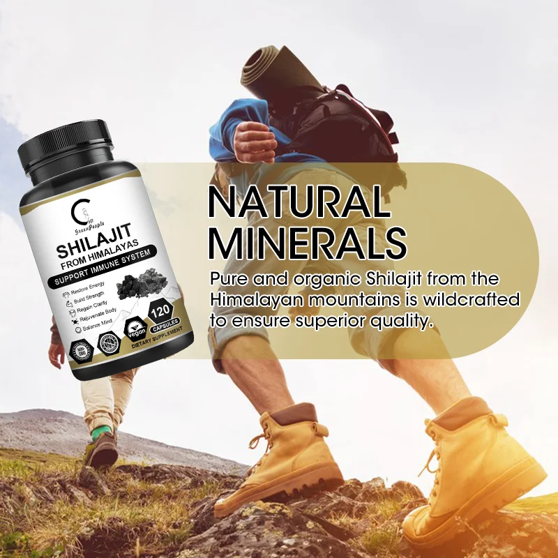 Ginseng Shilajit Capsules Shilajits Original 85+Trace Minerals Fulvic Humic Acids Brain, Focus, Memory and Immune Health ﻿