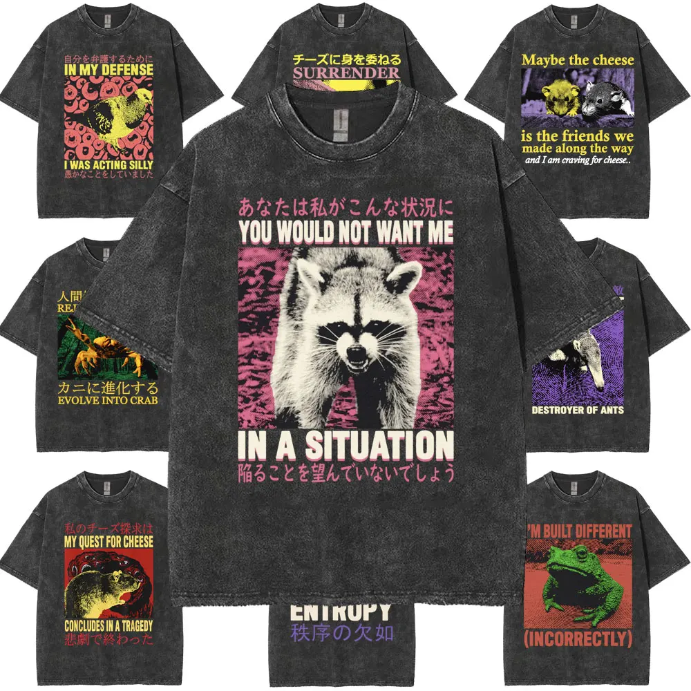 Funny You Would Not Want Me in A Situation Raccoon Meme Tee Shirt Men's Women Gothic Oversized Casual Vintage Washed T-shirt Y2k