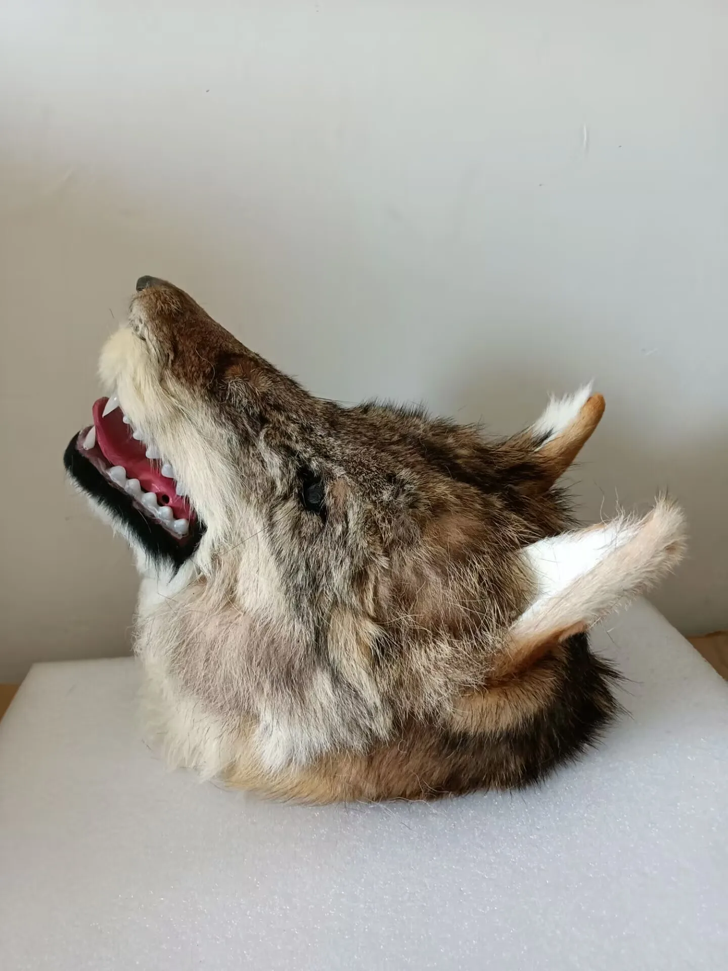 Big Open-Mouth Wolf Head Model Simulation Polyethylene & Furs Wall Decor 30x23x25cm Gift Idea Home Decor
