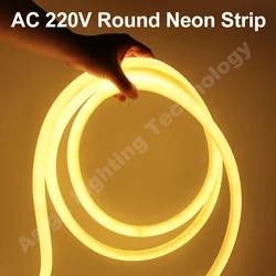 360 Round LED Neon Tube 220V Led Strip Light 120leds/m 2835 nastro flessibile Led Lights IP67 impermeabile per interni ed esterni