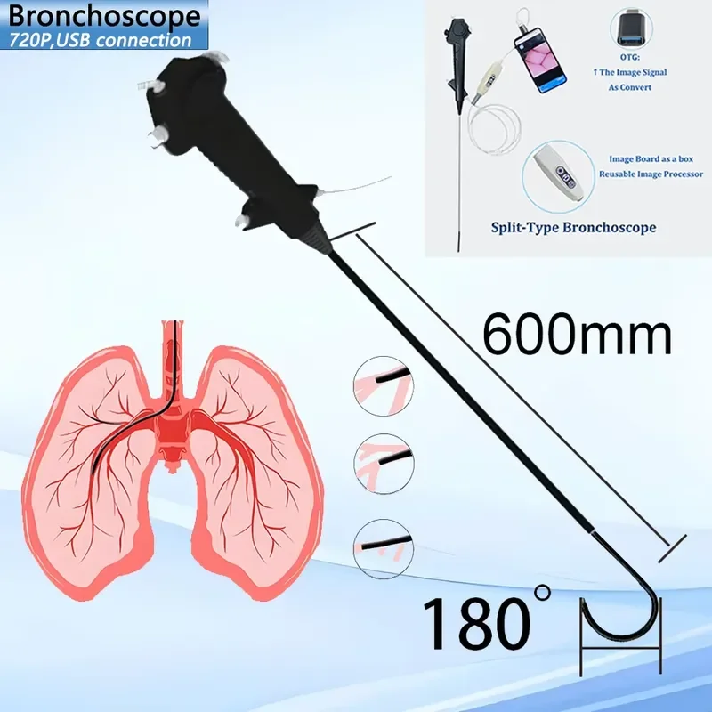 AP08 for OEM Factory Cheap Price Flexible High 720P High Resolution USB Type C Digital Bronchoscope for Human and