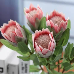 1 PCS  48cm Beautiful Artificial King Protea Flower Home House Garden Decor Decoration F1207