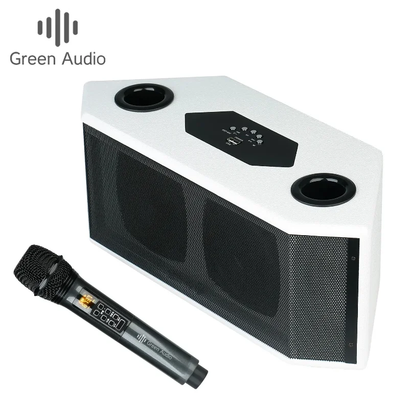 100W Super Power DSP Professional Active Home Karaoke Portable Wireless Bluetooth Speakers with 2 MIC Suitable for Outdoor KTV