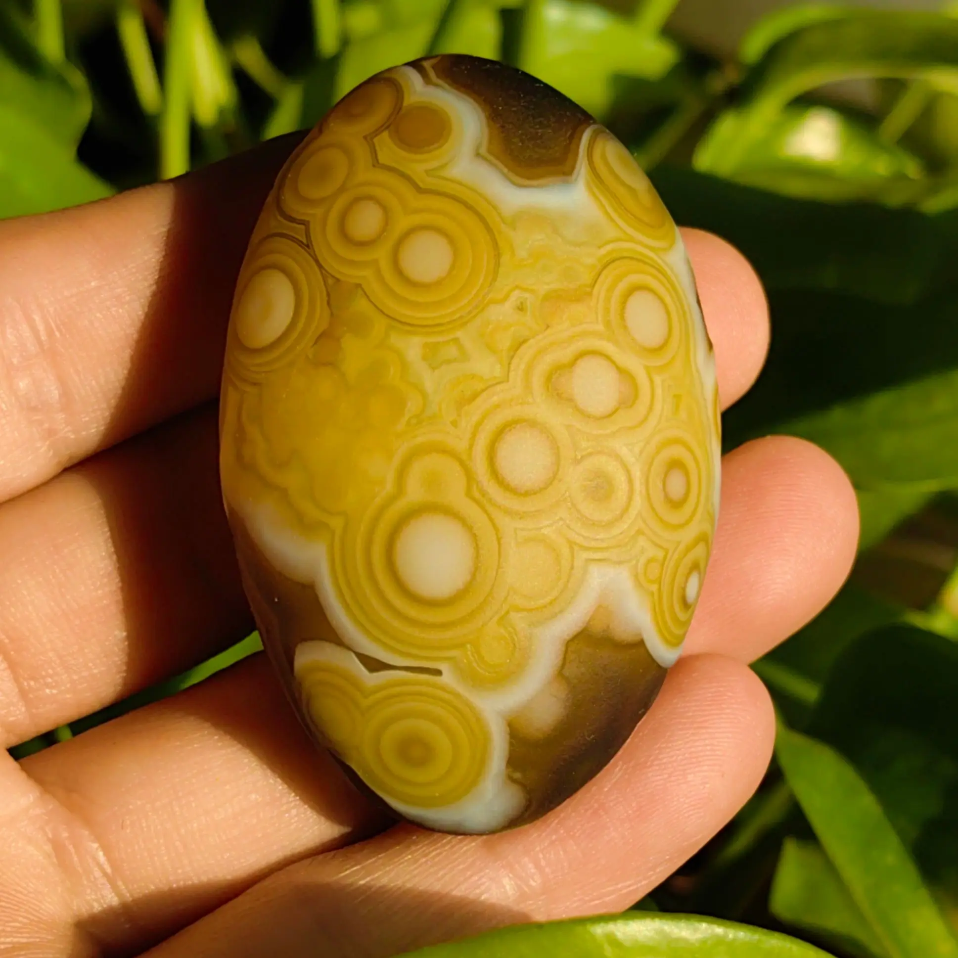 Natural Gobi Eye Agate Palm Stone with Concentric Yellow Rings, Hand-Finished Oval Mineral Specimen for Desk Display